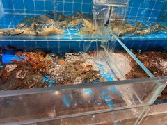 -渔纬港海鲜自助餐厅(湖里万达店)