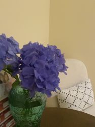 -尊尚柏丽美容SPA