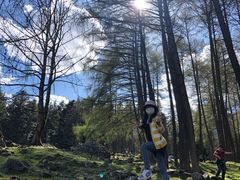 -硗碛藏寨·神木垒景区