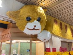 -帕帕拉兹宠物(亚洲旗舰店)