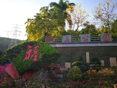 -仙岳公园