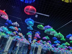 -深圳失恋博物馆再见前任(汇商名苑店)