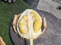 -都念榴莲·城市榴莲