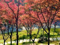 -广州市帽峰山景区