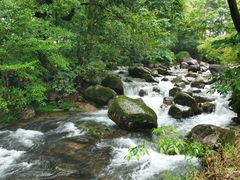-石台牯牛降景区