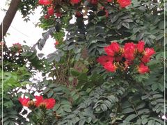 -云溪植物园