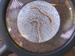 -苏州青少年科技馆