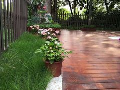 -小象托育