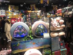 -酷乐潮玩(城西银泰城店)