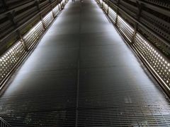 -福道
