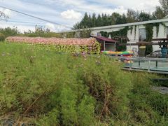 -北纬44度·金珠花海休闲农业旅游景区