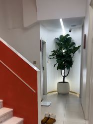 -WENDY·温迪皮肤管理