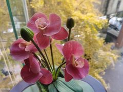 -天天足道(紫荆店)