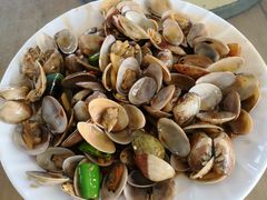 -七鲜渔港美食餐厅(巽寮湾海景店)