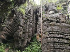 -梭布垭石林景区