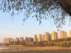 -丁香湖公园
