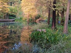 -云溪植物园