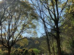 -天台山赤城山景区