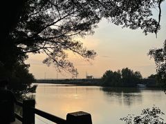 -大湾区中央湿地公园