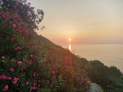 -普陀山风景名胜区-千步大沙