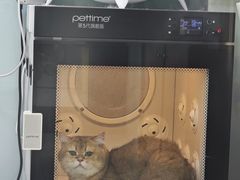 -中农大我爱我爱动物医院·核磁CT·猫病·24小时夜诊中心(石佛营店)
