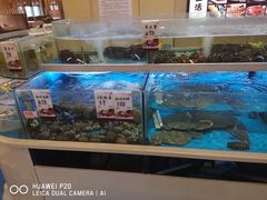 水产区-至尊强仔(正光北街店)