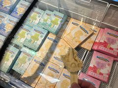 -大连圣亚海洋世界