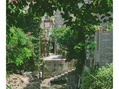 -小洲村