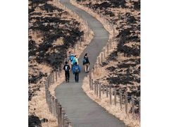 -帝京日语(春熙路旗舰校区)