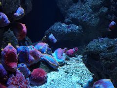 -成都浩海立方海洋公园