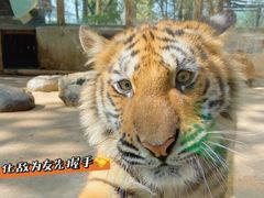 -云南野生动物园