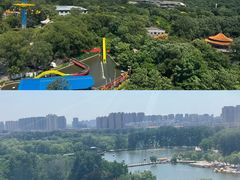 -二一九公园