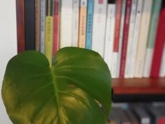 -二楼南书房