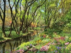 -上海共青森林公园