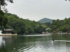 -南京珍珠泉风景区