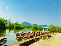 -会仙湿地