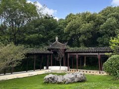 -八大山人梅湖景区
