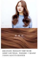 -蚂蚁造型沙龙