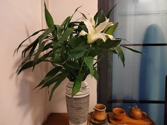 -循礼门鲜花花市(武汉循礼门店)