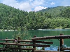 -武陵山森林公园