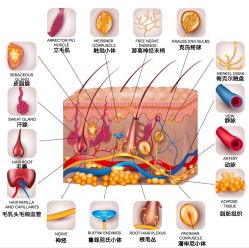 -Oasis Beauty水磨坊科技美肤中心