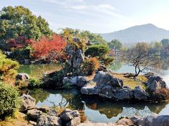 -西湖外事游船(花港观鱼码头)