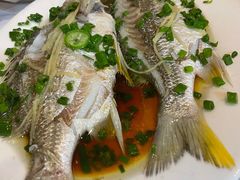 -阳江餐厅·30年老字号·粤菜海鲜大排档