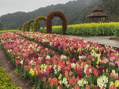 -广州市石门国家森林公园