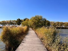 -野鸭湖国家湿地公园