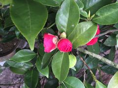 iphone_upload_pic-龙井壹号·茶缘山景宴(龙井村店)