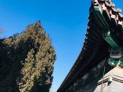 -颐和园