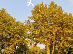 -橘洲1925湖湘餐厅