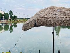 -水岸居湖景农家乐·阳澄湖大闸蟹