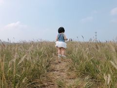 -恋山坝上草原